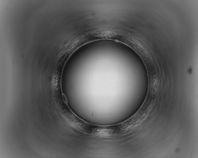 X0000100840268200806271119