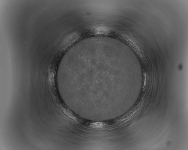 X0000100840269200806271119