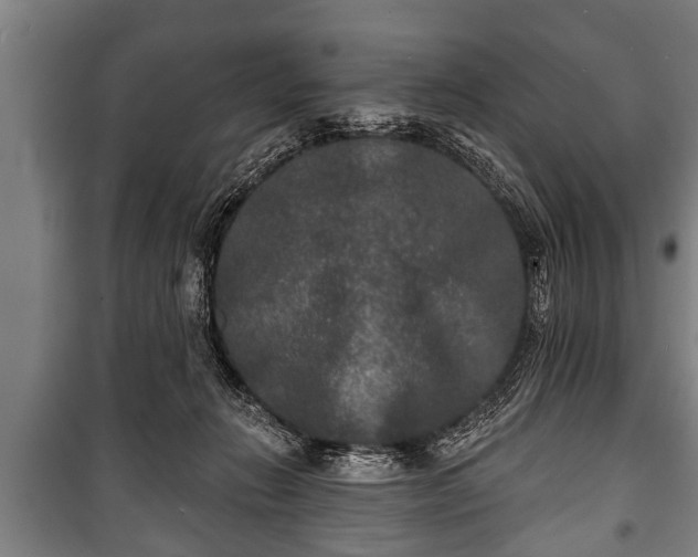 X0000100840270200806271120