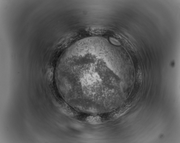 X0000100840271200806271120