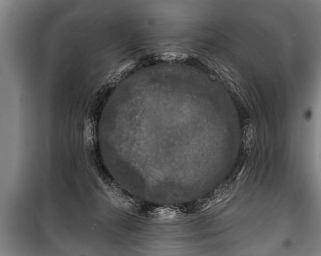 X0000100840272200806271120