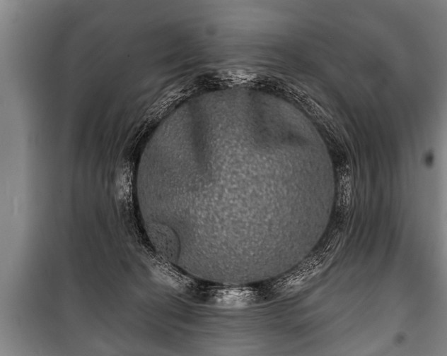 X0000100840274200806271120