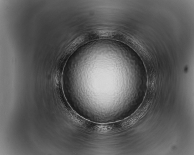 X0000100840277200806271120