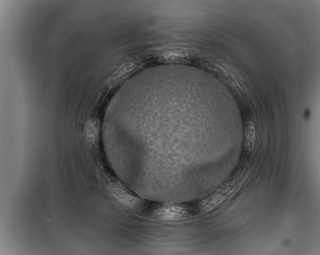 X0000100840278200806271120