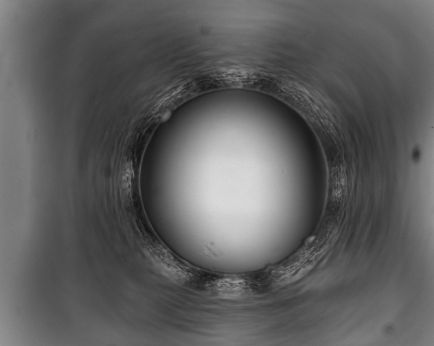 X0000100840279200806271120