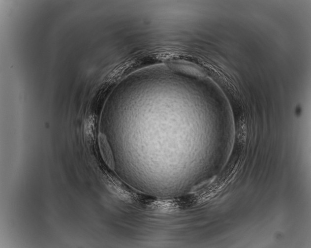 X0000100840280200806271120