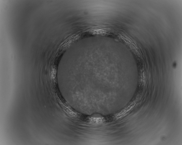 X0000100840281200806271120