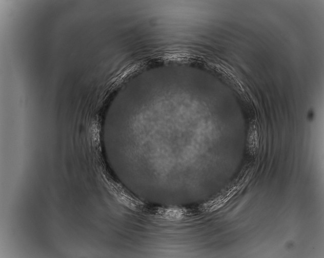 X0000100840282200806271120