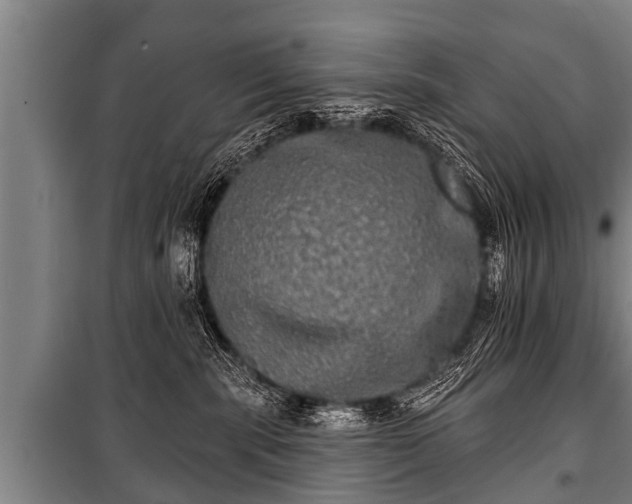 X0000100840283200806271120