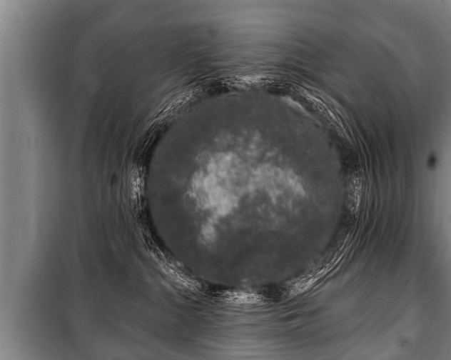 X0000100840284200806271120