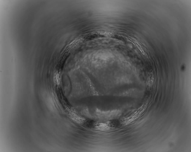 X0000100840285200806271120