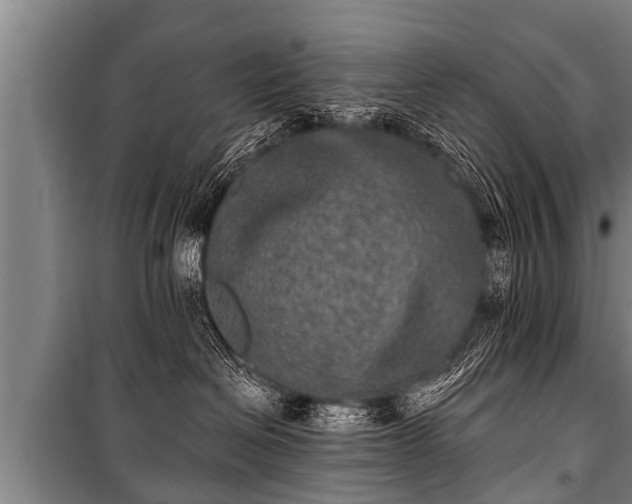 X0000100840286200806271120