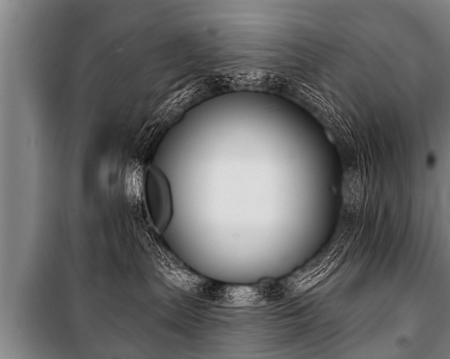 X0000100840287200806271120