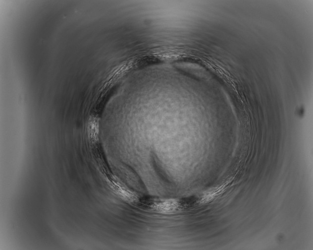 X0000100840288200806271120