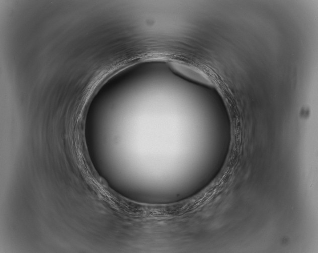 X0000100840289200806271119