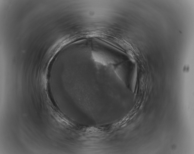 X0000100840290200806271119