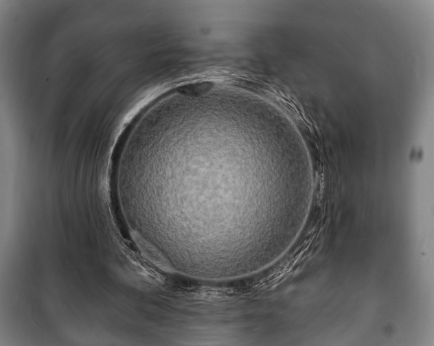 X0000100840292200806271119