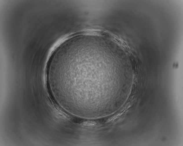 X0000100840294200806271119