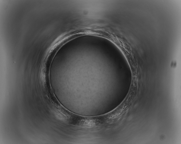 X0000100840295200806271119