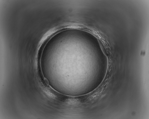 X0000100840296200806271119