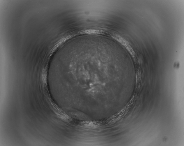 X0000100840297200806271119