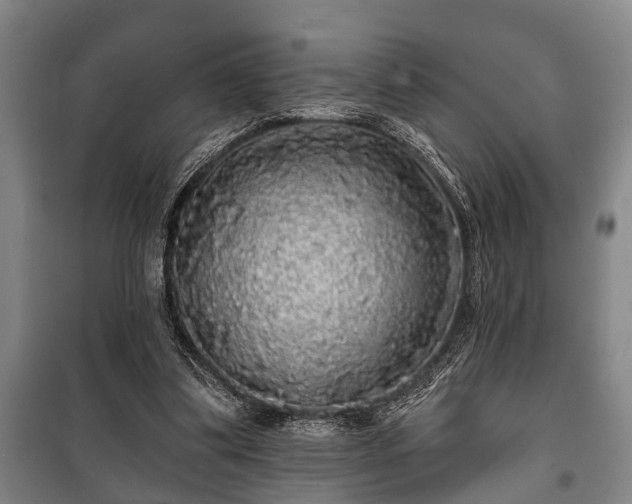 X0000100840299200806271119