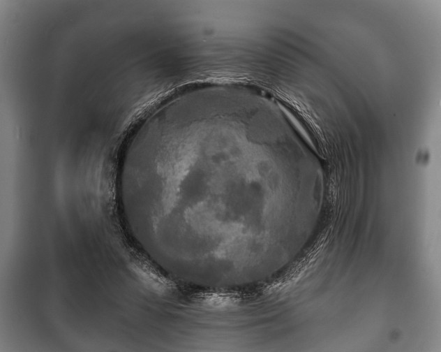 X0000100840303200806271119