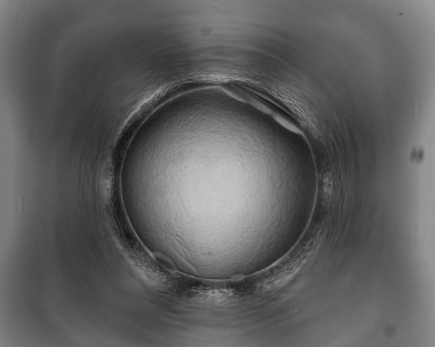 X0000100840304200806271119