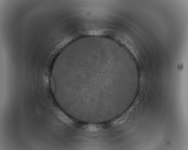 X0000100840305200806271119