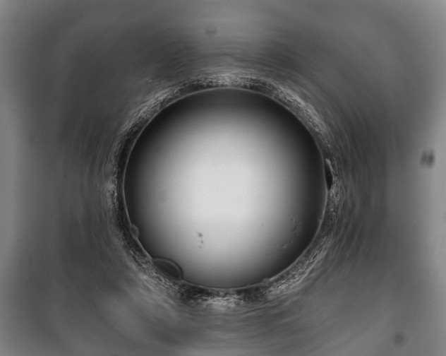 X0000100840306200806271119