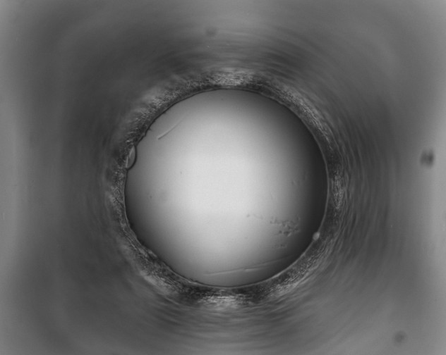 X0000100840307200806271119