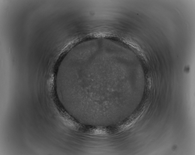 X0000100840308200806271119