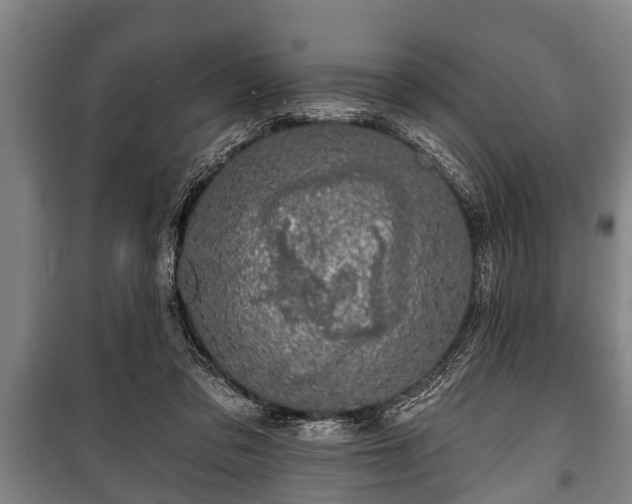 X0000100840309200806271119