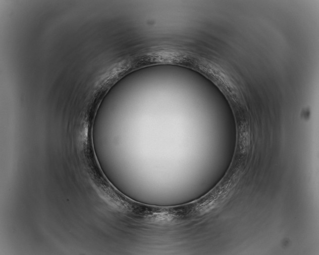 X0000100840310200806271119