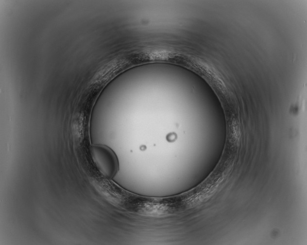 X0000100840311200806271119