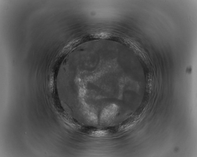 X0000100840312200806271119