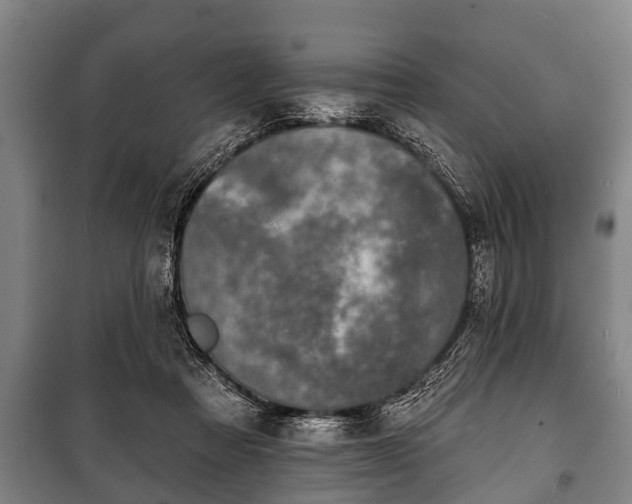 X0000100840313200806271119