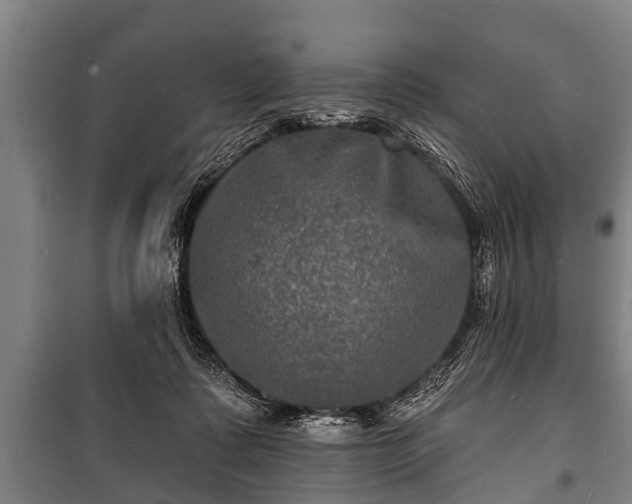 X0000100840315200806271119