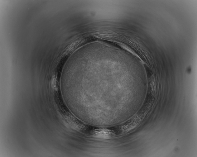 X0000100840316200806271119