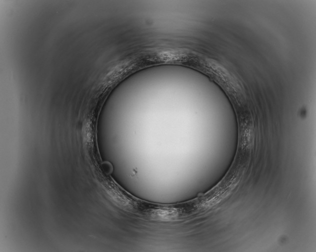 X0000100840317200806271119