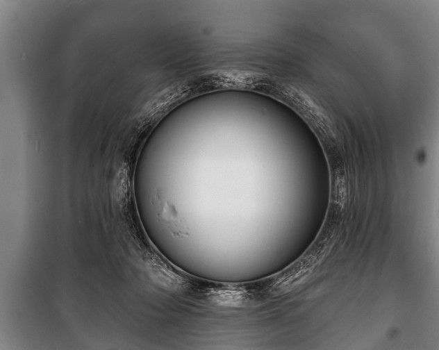 X0000100840318200806271119