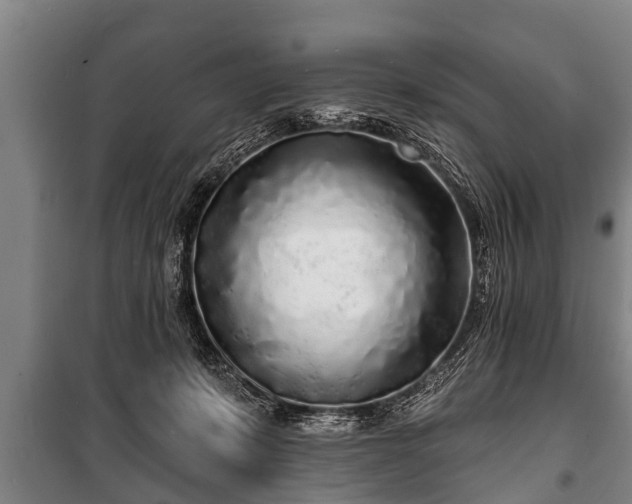 X0000100840319200806271119