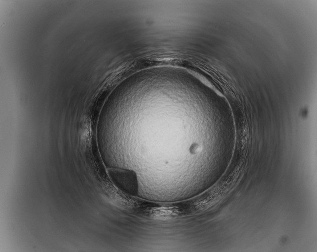 X0000100840320200806271119