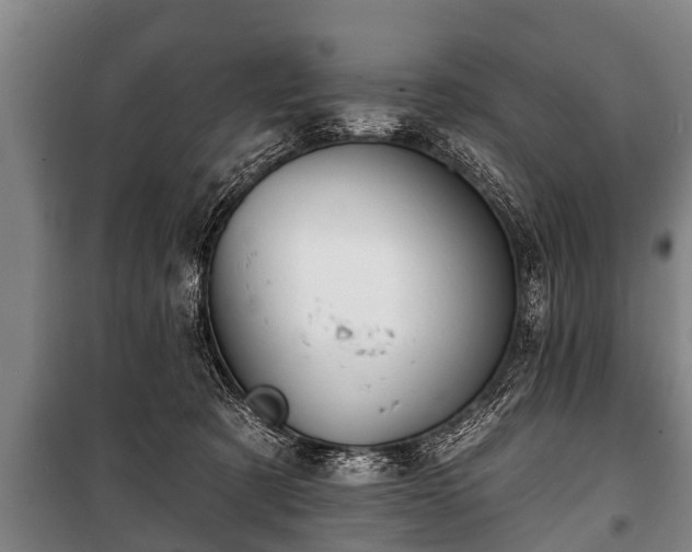 X0000100840321200806271119