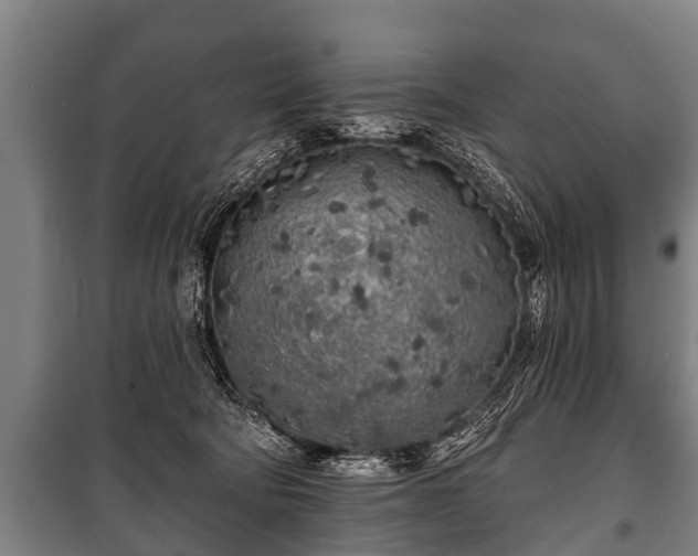 X0000100840322200806271119