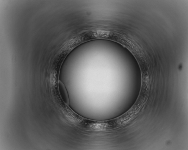 X0000100840323200806271119