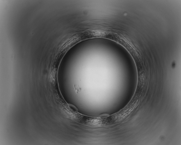 X0000100840325200806271119