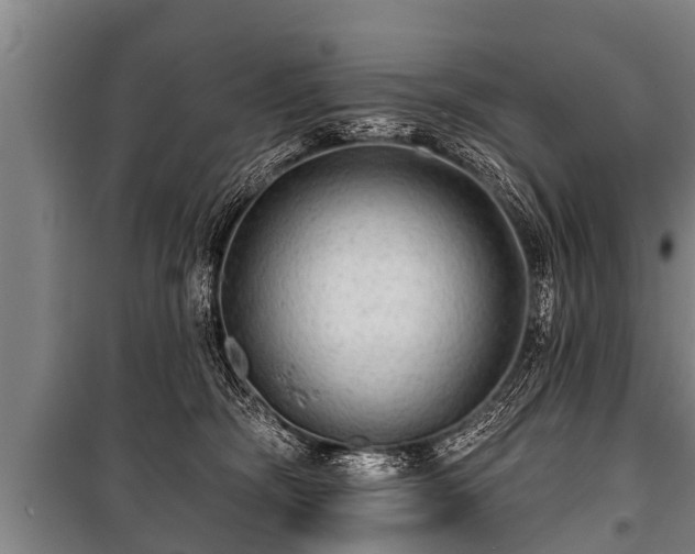 X0000100840326200806271119