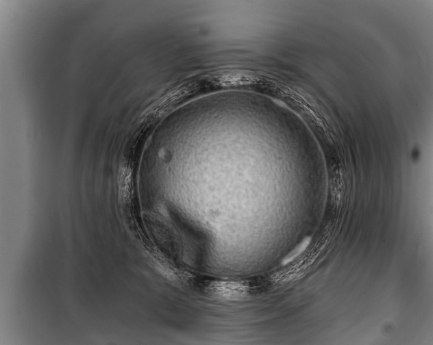 X0000100840327200806271119