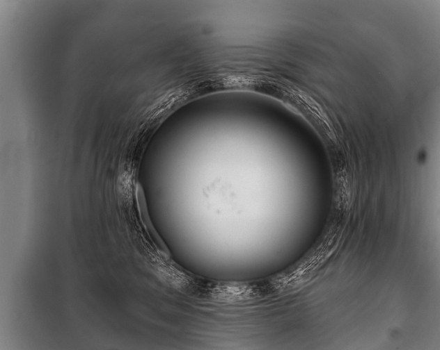 X0000100840329200806271119